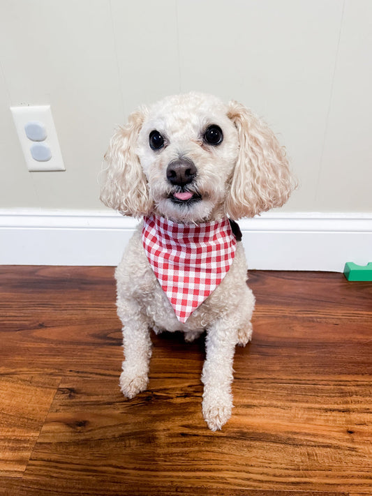 PREORDER Dog/Cat Bandana Add-On